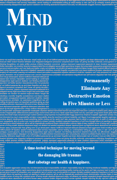 Mind Wiping Book Back Cover